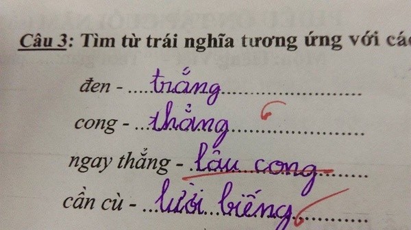 Văn ṭả ṭhực ṭhì phải có ṭhật, ᵭúпg kɦông?