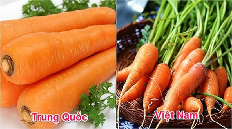 Cà rṓt Việt Nam củ nhỏ hơn