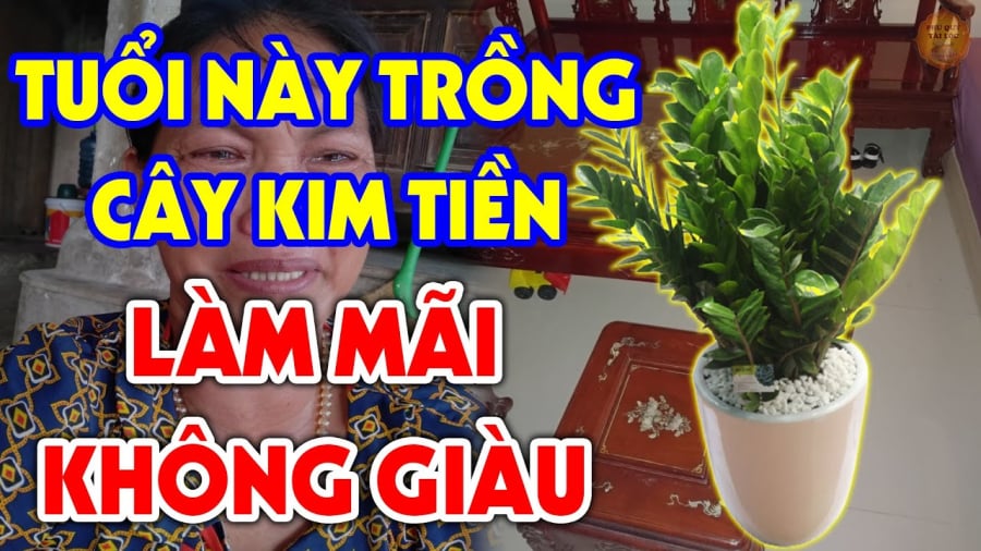 nhung-tuoi-nay-khong-trong-kim-tien-hao-tai