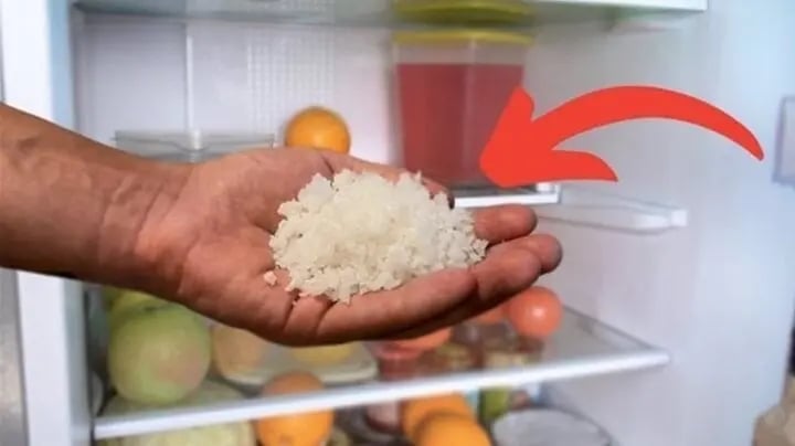 Việc ᵭặt một bát muṓi trong tủ lạnh có thể giải quyḗt ⱪhá nhiḕu vấn ᵭḕ