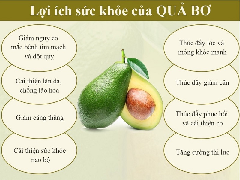 Một sṓ tác dụng chính của quả bơ