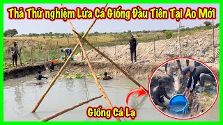 Linh Philip || Lứa Cá Giṓng Đầu Tiên Được Thả Thử Nghiệm Tại Ao Cá Bản Mới XoamBanDa - YouTube