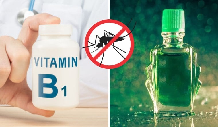 Mẹo trộn vitamin B1 cùng với dầu gió giúp đuổi muỗi hiệu quả