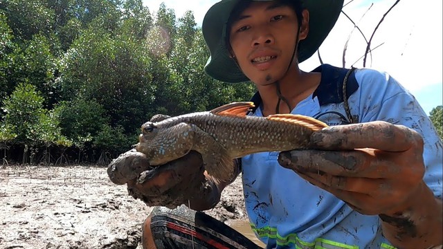 Loài cá là lộc trời ban của Việt Nam, biết leo cây, chạy nhảy trên cạn: Giá lên đến hơn nửa triệu đồng/kg - Ảnh 4.