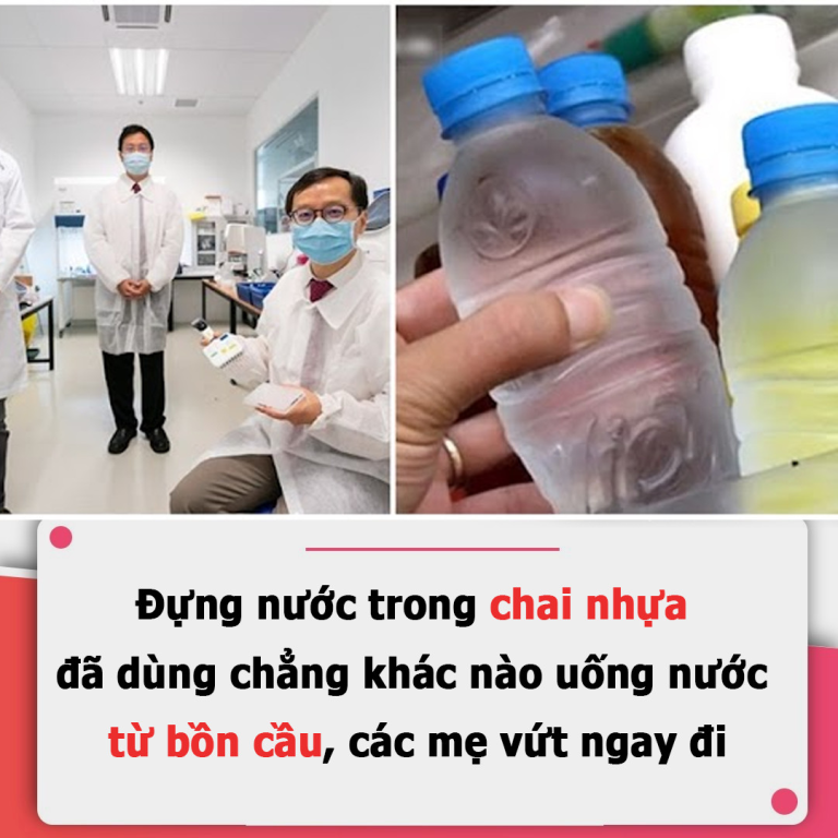 Đựng nước trong chai nhựa đã dùng chẳng khác nào uống nước từ bồn cầu, các mẹ vứt ngay đi