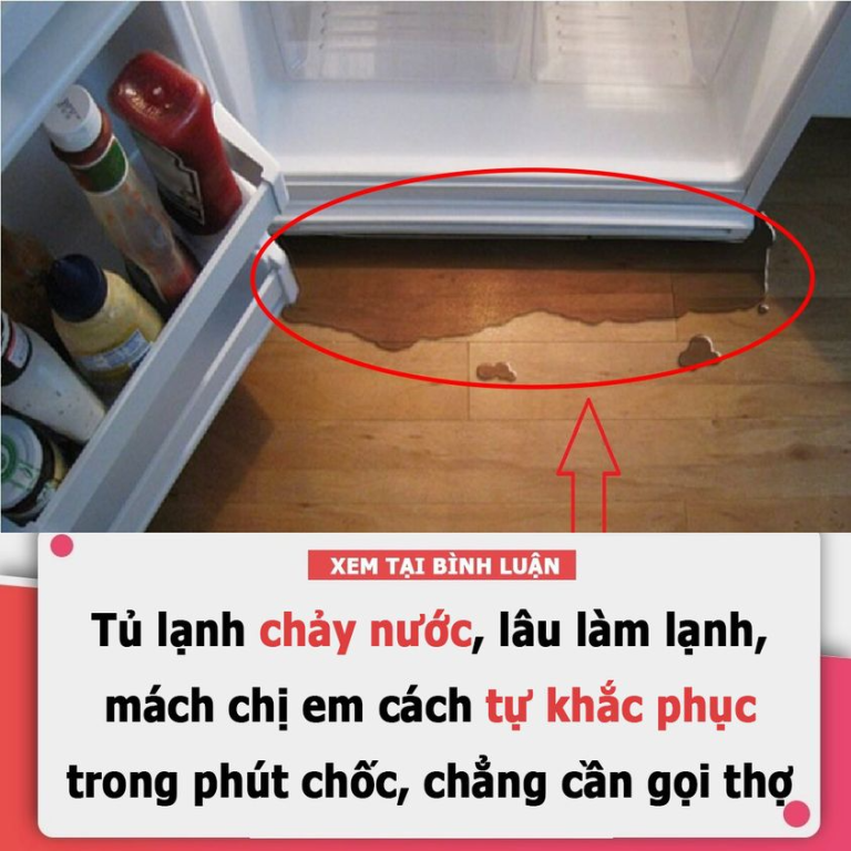 Tủ lạnh chảy nước, lâu làm lạnh: Chỉ chị em cách tự khắc phục, chẳng cần gọi thợ