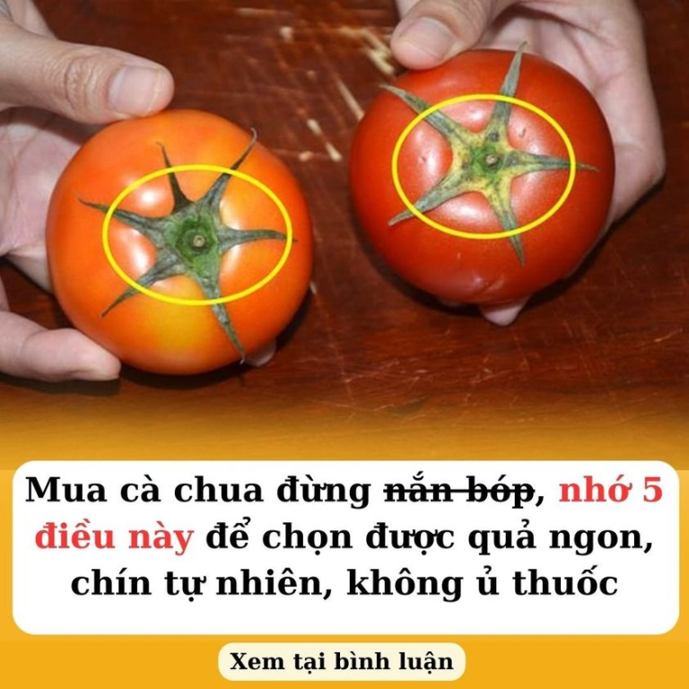 Mua cà chua đừng n.ắ.n b.ó.p, nhớ 5 điều này để chọn được quả ngon, chín tự nhiên, không ủ thuốc