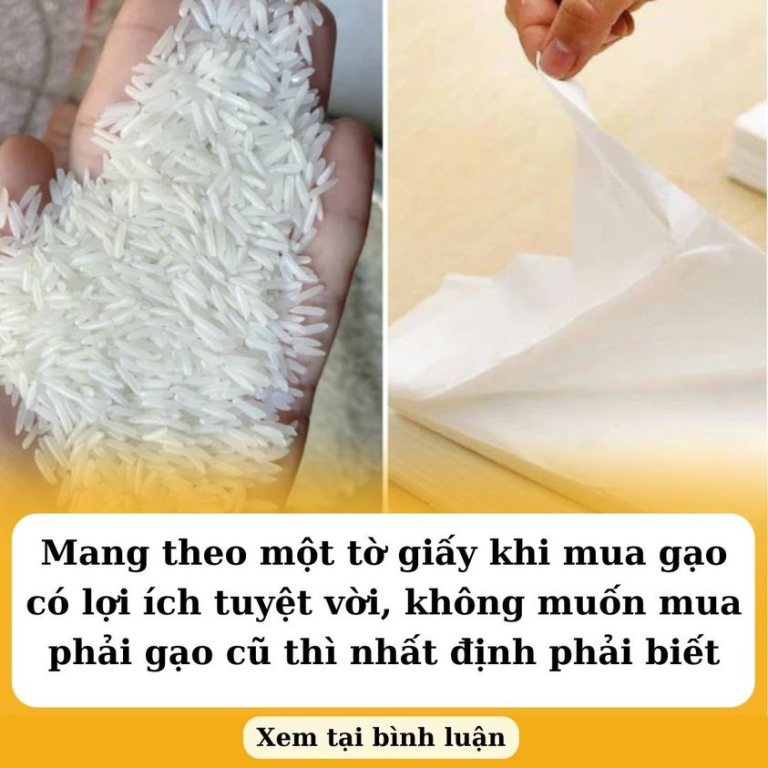 Mang theo một tờ giấy khi mua gạo có lợi ích tuyệt vời, không muốn mua phải gạo cũ thì nhất định phải biết