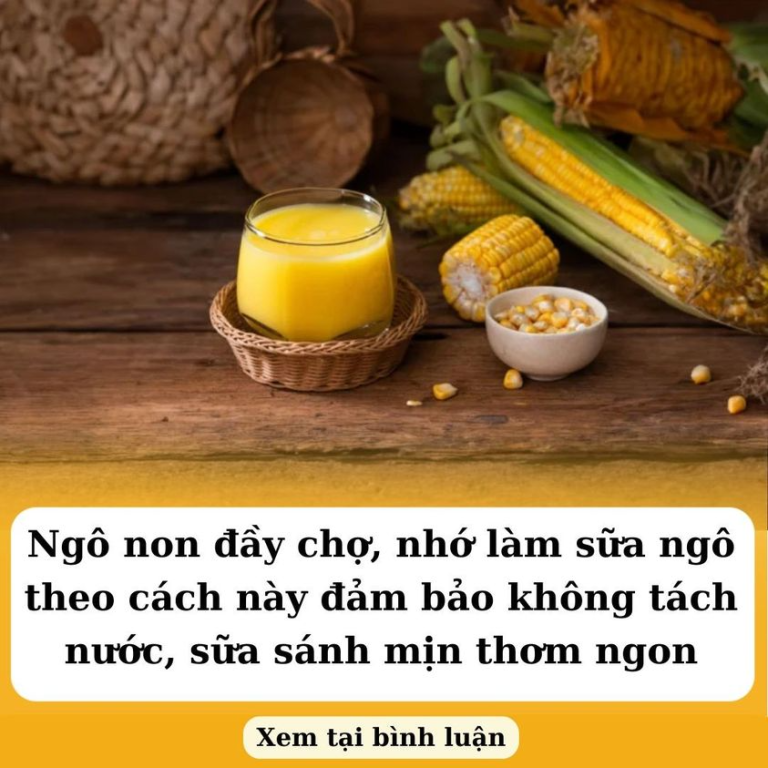 Ngô non đầy chợ, nhớ làm sữa ngô theo cách này đảm bảo không tách nước, sữa sánh mịn thơm ngon