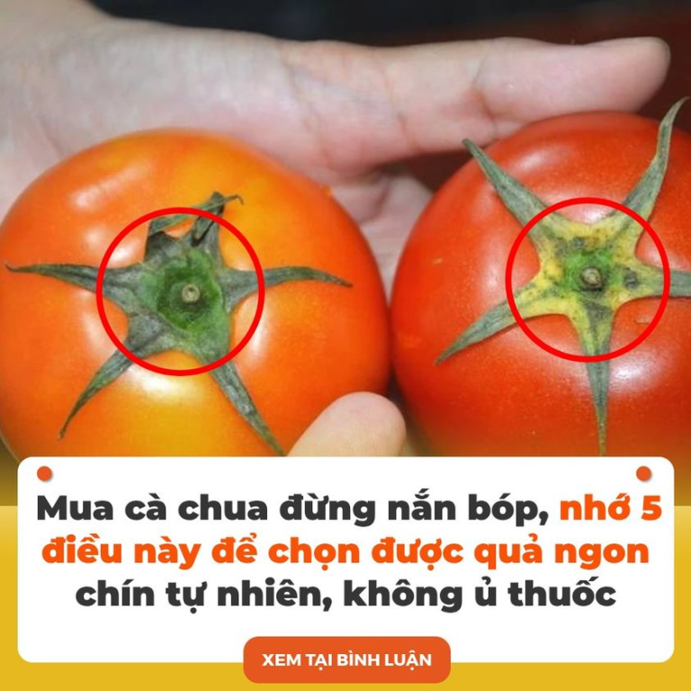 Mua cà chua đừng nắn bóp, nhớ 5 điều này để chọn được quả ngon, chín tự nhiên, không ủ thuốc