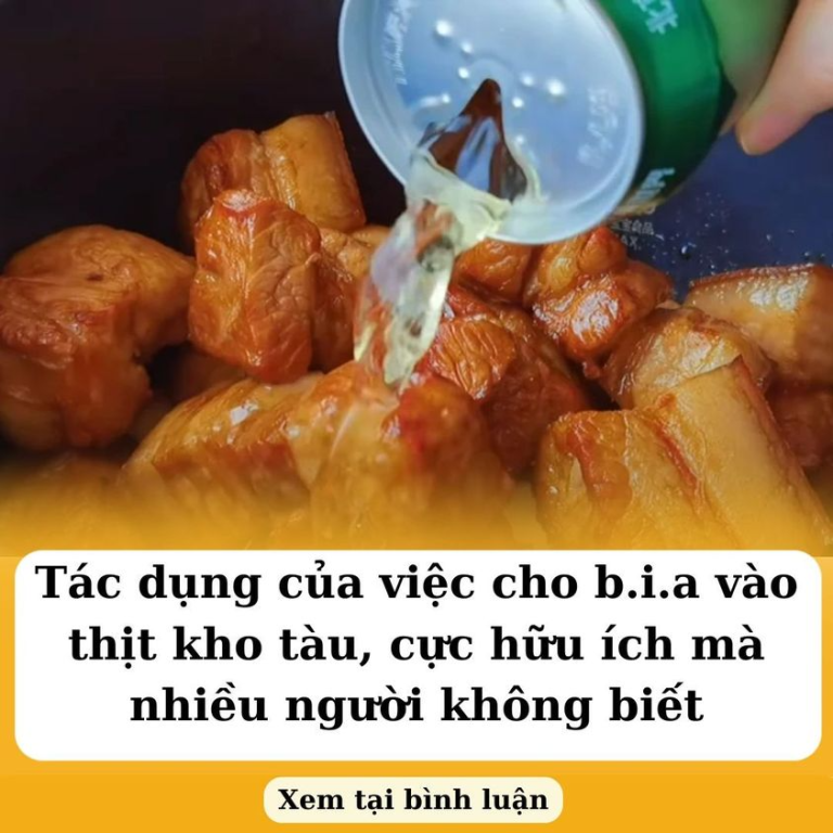 Tác dụng của việc cho b.i.a vào thịt kho tàu, cực hữu ích mà nhiều người không biết