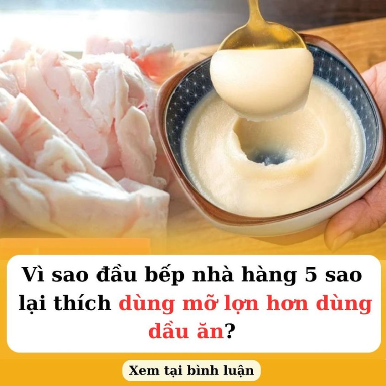 Vì sao đầu bếp nhà hàng 5 sao lại thích dùng mỡ lợn hơn dùng dầu ăn?