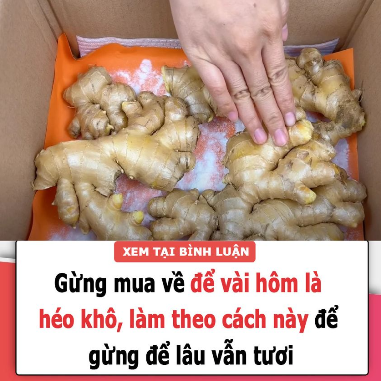 Gừng mua về để vài hôm là héo khô, làm theo cách này để gừng để lâu vẫn tươi