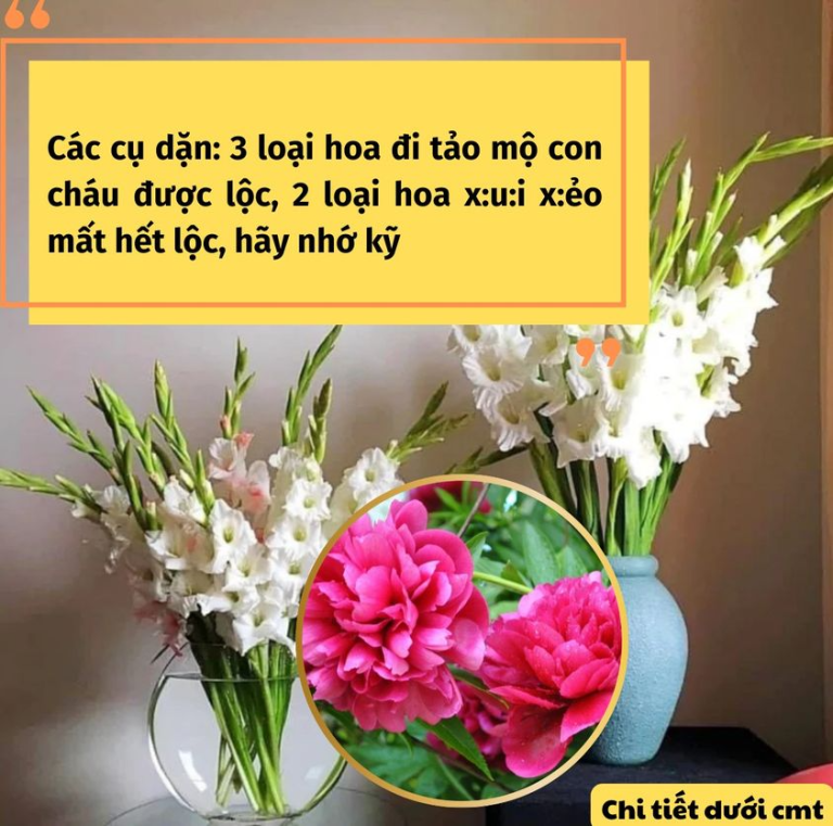 Các cụ dặn: 3 loại hoa đi tảo mộ con cháu được lộc, 2 loại hoa x:u:i x:ẻo mất hết lộc, hãy nhớ kỹ