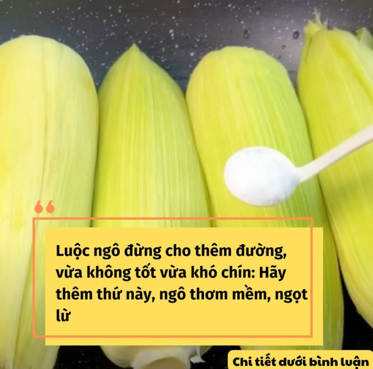 Luộc ngô đừng cho thêm đường, vừa không tốt vừa khó chín: Hãy thêm thứ này, ngô thơm mềm, ngọt lừ