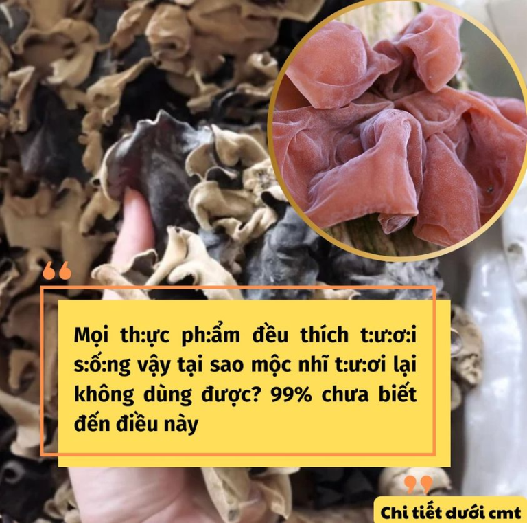 Mọi th:ực ph:ẩm đều thích t:ư:ơ:i s:ố:ng vậy tại sao mộc nhĩ t:ư:ơi lại không dùng được? 99% chưa biết đến điều này