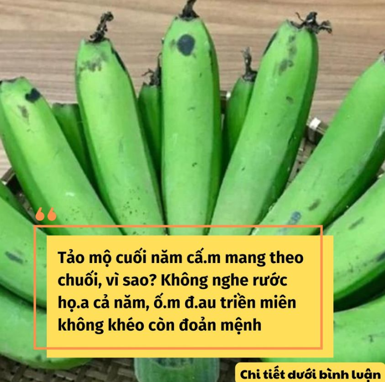 Tảo mộ cuối năm cấ.m mang theo chuối, vì sao? Không nghe rước họ.a cả năm, ố.m đ.au triền miên không khéo còn đoản mệnh