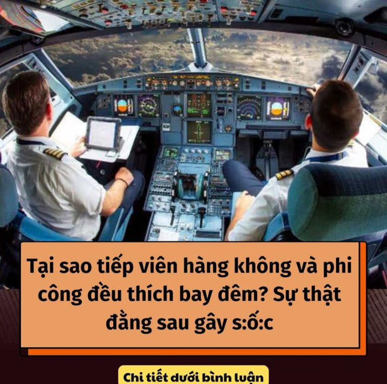 Tại sao tiếp viên hàng không và phi công đều thích bay đêm? Lý do thực sự gây s:ố:c