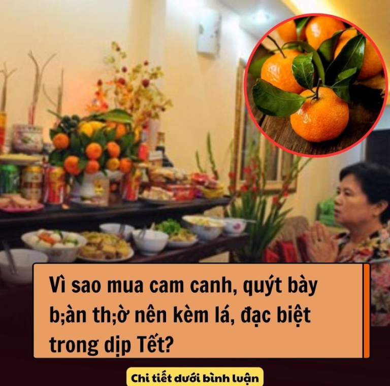 Vì sao mua cam canh, quýt bày bàn thờ nên kèm lá, đặc biệt trong dịp Tết?