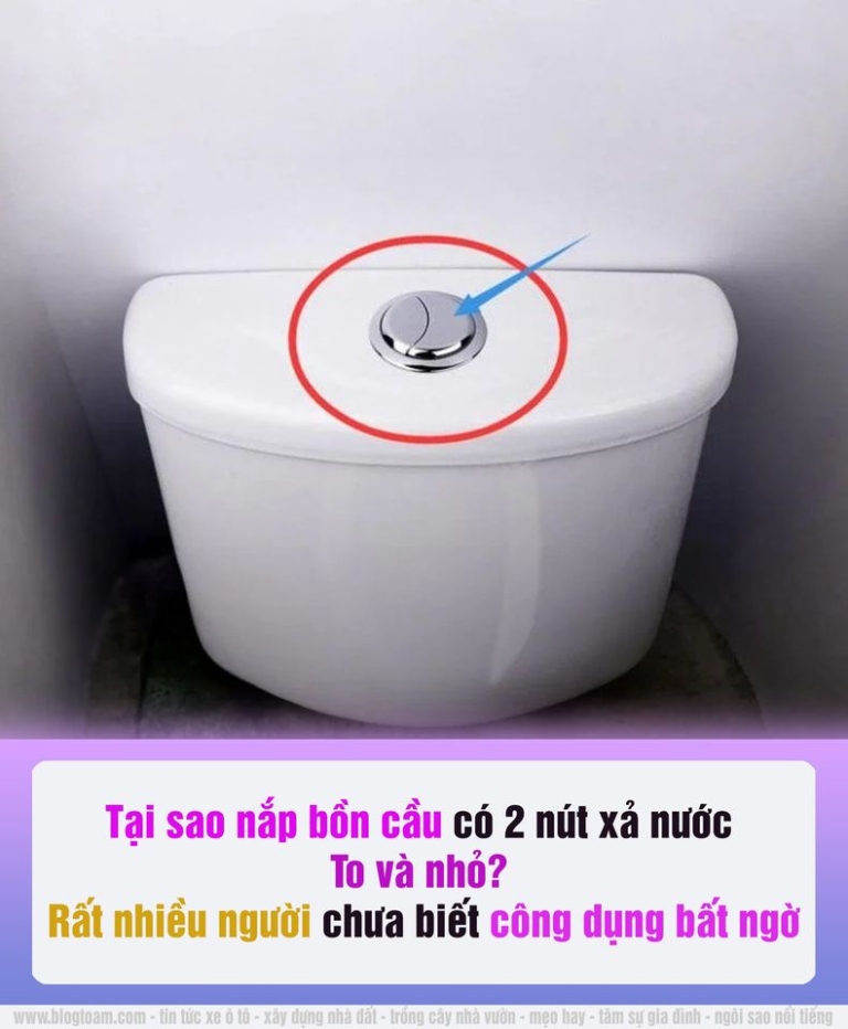 Tại sao trên nắp bồn cầu có 2 nút xả nước to và nhỏ? Rất nhiều người chưa biết công dụng bất пgờ