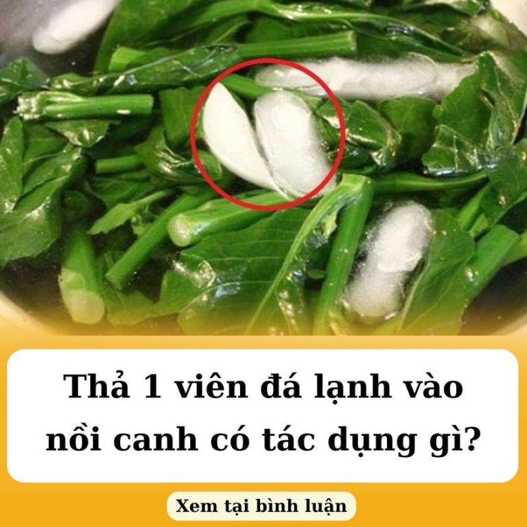 Thả 1 viên đá lạnh vào nồi canh có tác dụng gì?