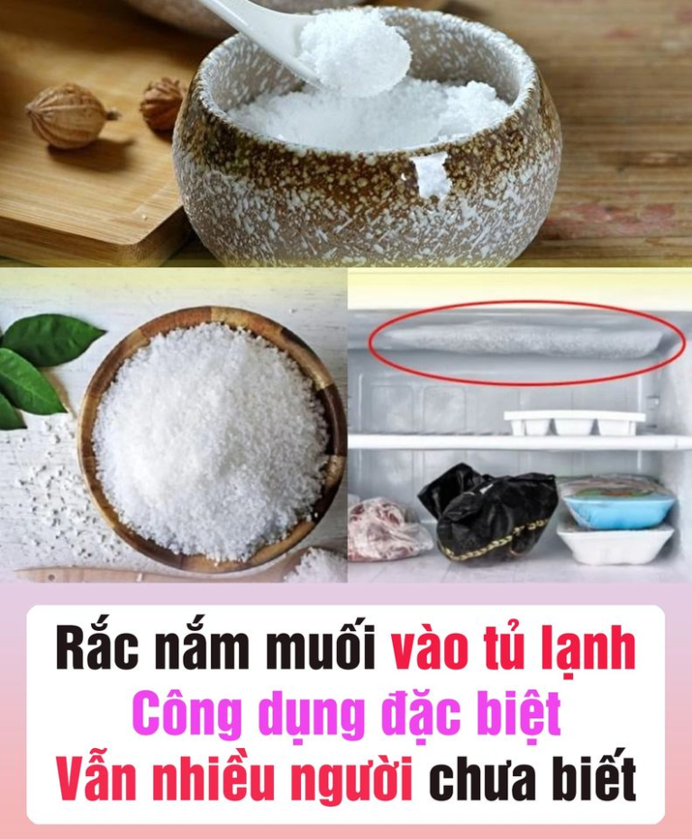 Rắc nắm muối vào tủ lạnh: Công dụng đặc biệt, đến nay vẫn nhiều người chưa biết