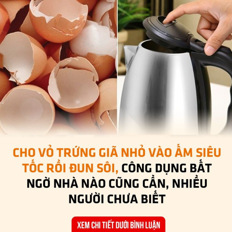 Cho vỏ trứng giã nhỏ vào ấm siêu tốc rồi đun sôi, công dụng bất ngờ nhà nào cũng cần, nhiều người chưa biết