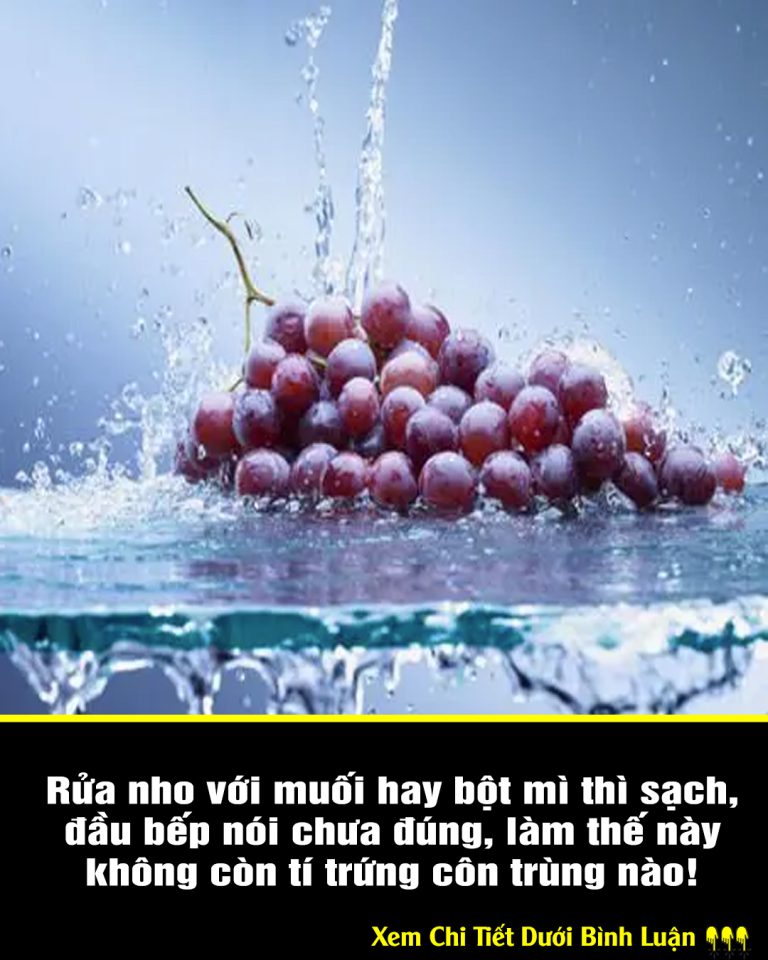 Rửa nho với muối hay bột mì thì sạch, đầu bếp nói chưa đúng, làm thế này không còn tí trứng côn trùng nào!