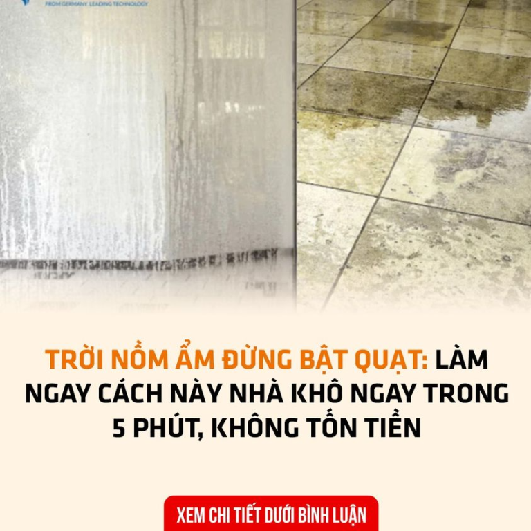 Trời nồm ẩm đừng bật quạt: Làm ngay cách này nhà khô ngay trong 5 phút, không tốn tiền