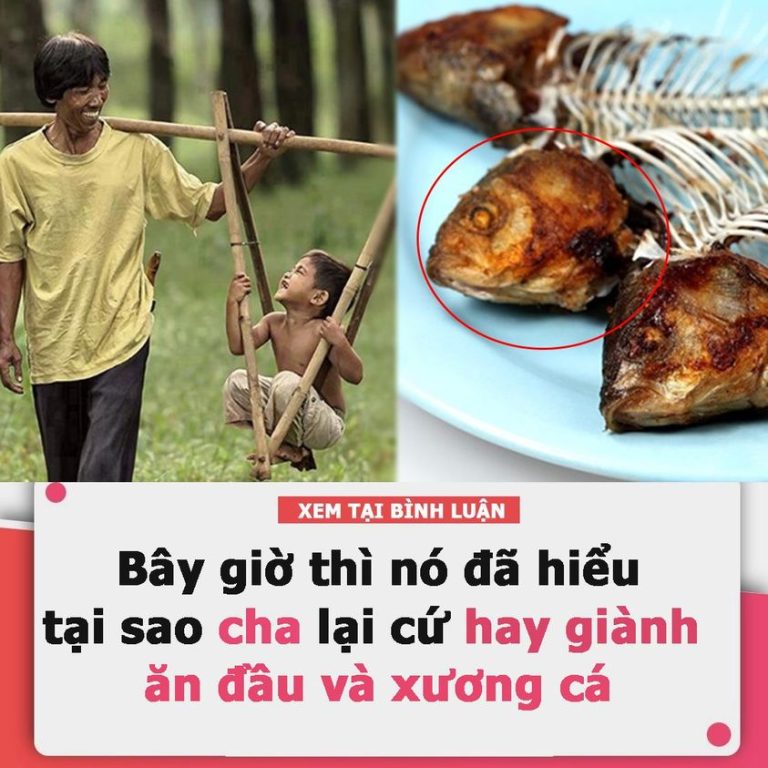 Bây giờ thì nó đã hiểu tại sao cha lại cứ hay giành ăn đầu và xương cá