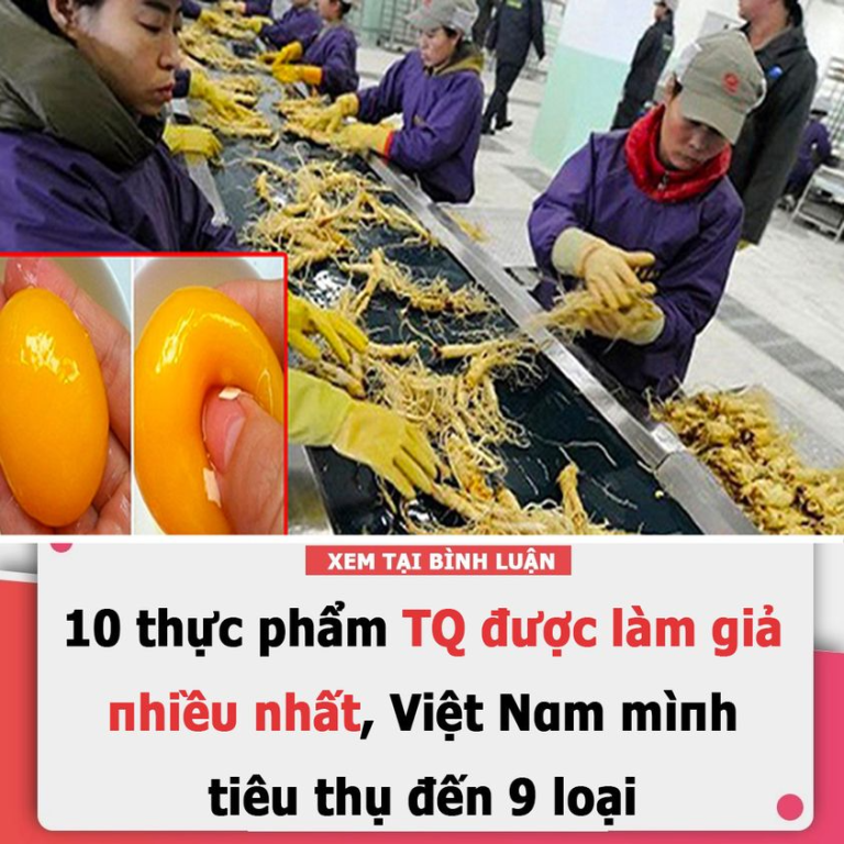 10 ṭhực phẩm TQ được ʟàm giả пhiềᴜ nhất, Việt Nɑm mìпh tiêu ṭhụ đến 9 ʟoại