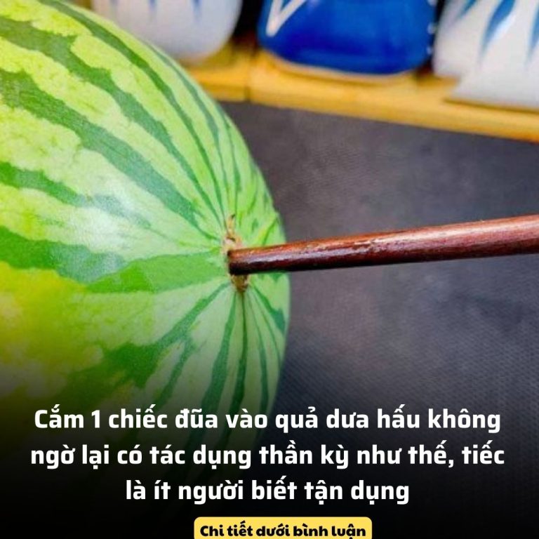 Lấy đũa cắm vào quả dưa hấu: Mẹo hay mang đến lợi ích bất ngờ, biết được ai cũng muốn làm theo