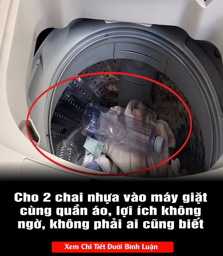 Cho 2 chai nhựa vào máy giặt cùng quần áo, lợi ích không ngờ, không phải ai cũng biết