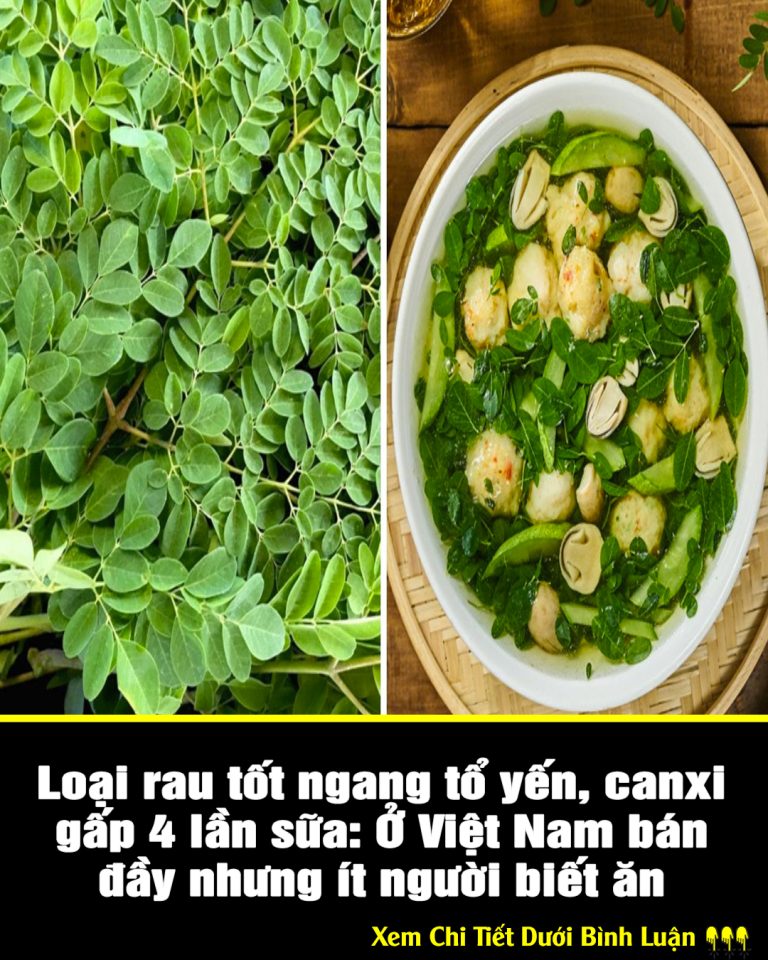 Loại rau tốt ngang tổ yến, canxi gấp 4 lần sữa: Ở Việt Nam bán đầy nhưng ít người biết ăn