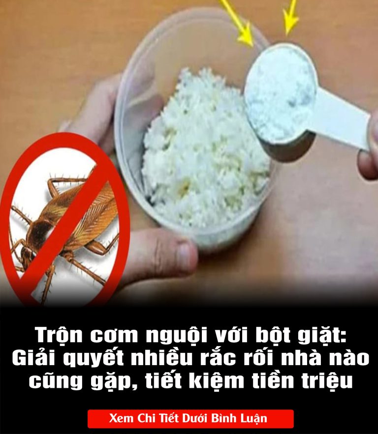 Trộn cơm nguội với bột giặt: Giải quyết nhiều rắc rối nhà nào cũng gặp, tiết kiệm tiền triệu