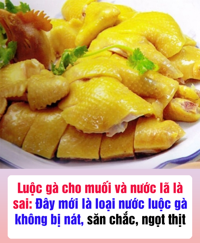 Luộc gà cho muối và nước lã là sai: Đây mới là loại nước luộc gà không bị nát, săn chắc, ngọt thịt