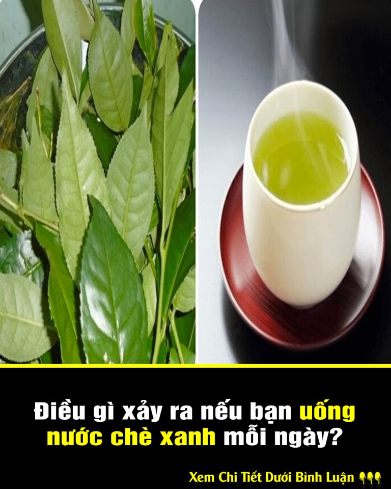 Điều gì xảy ra nếu bạn uống nước chè xanh mỗi ngày?