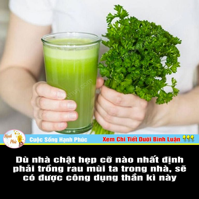 Dù nhà chật hẹp cỡ nào nhất định phải trồng rau mùi ta trong nhà, sẽ có được công dụng thần kì này