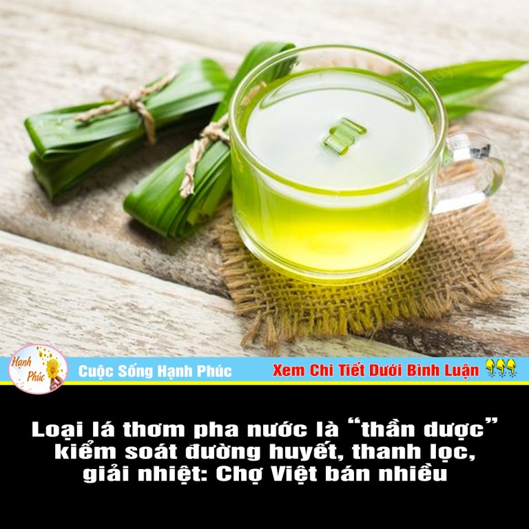 Loại lá thơm pha nước là “thần dược” kiểm soát đường huyết, thanh lọc, giải nhiệt: Chợ Việt bán nhiều