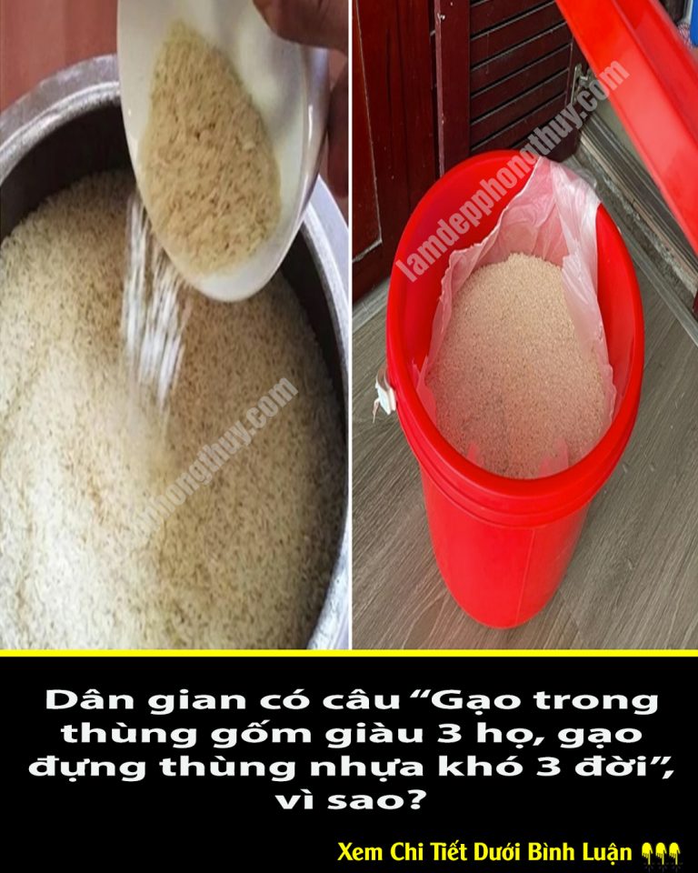 Dân gian có câu “Gạo trong thùng gốm giàu 3 họ, gạo đựng thùng nhựa khó 3 đời”, vì sao?