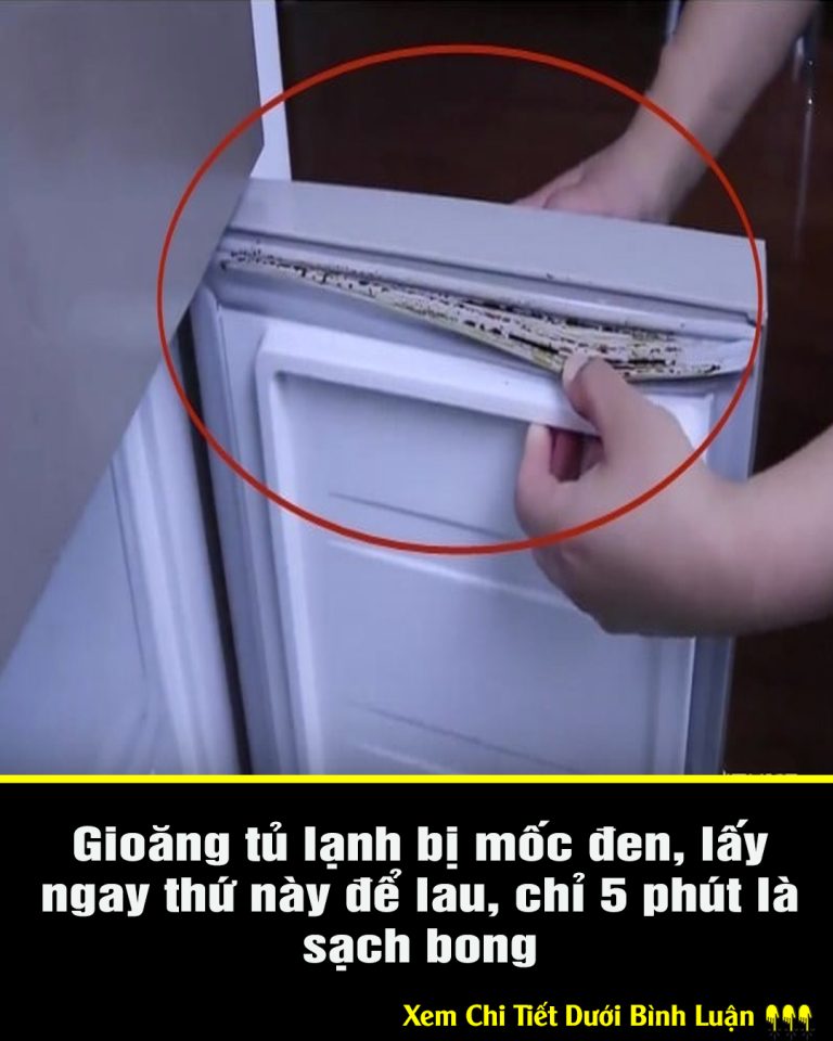 Gioăng tủ lạnh bị mốc đen, lấy ngay thứ này để lau, chỉ 5 phút là sạch bong