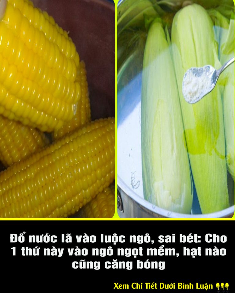 Đổ nước lã vào luộc ngô, sai bét: Cho 1 thứ này vào ngô ngọt mềm, hạt nào cũng căng bóng