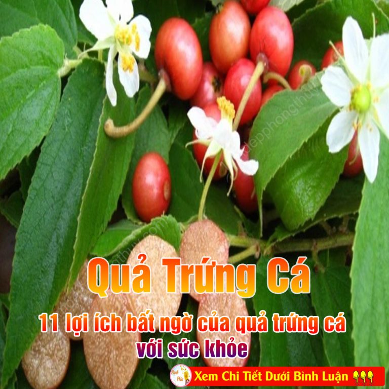 11 lợi ích bất ngờ của quả trứng cá với sức khỏe