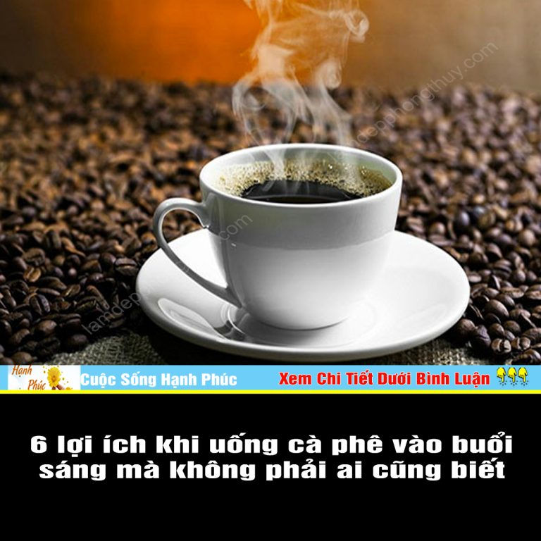 6 lợi ích khi uống cà phê vào buổi sáng mà không phải ai cũng biết