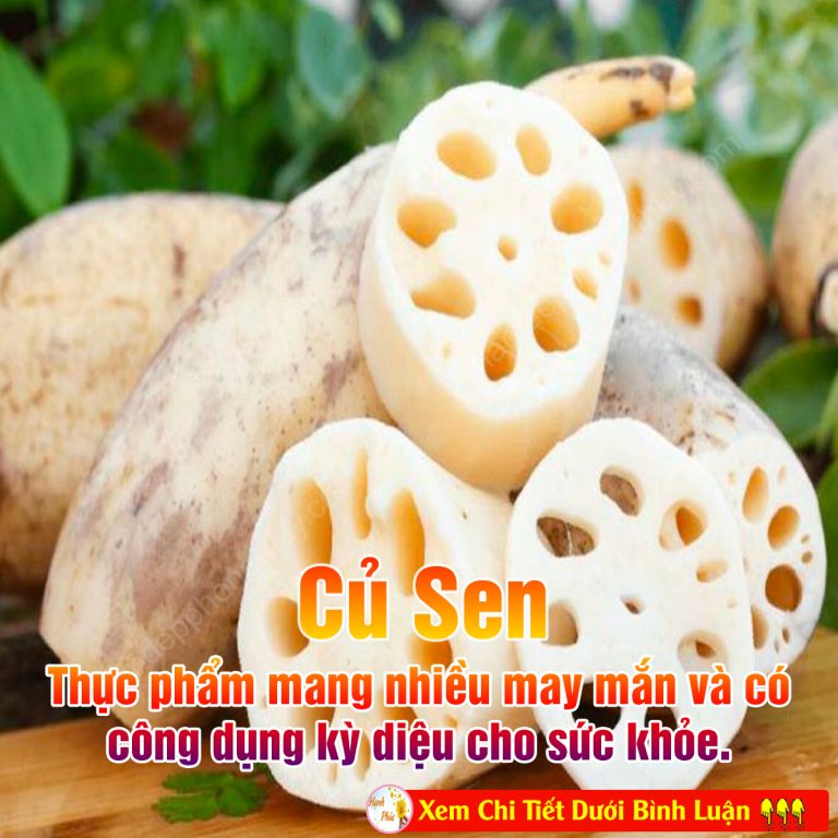 11 lợi ích bất ngờ của củ sen