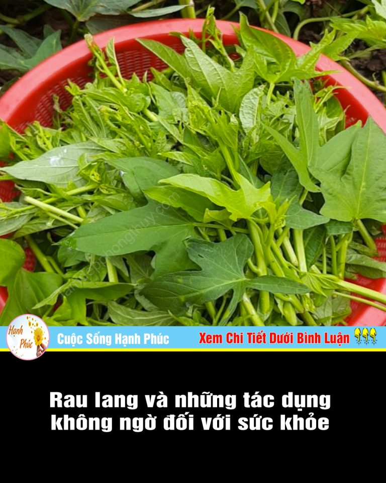 Rau lang và những tác dụng không ngờ đối với sức khỏe