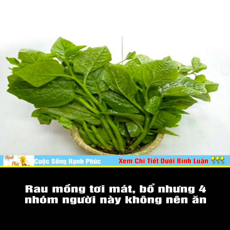 Rau mồng tơi mát, bổ nhưng 4 nhóm người này không nên ăn