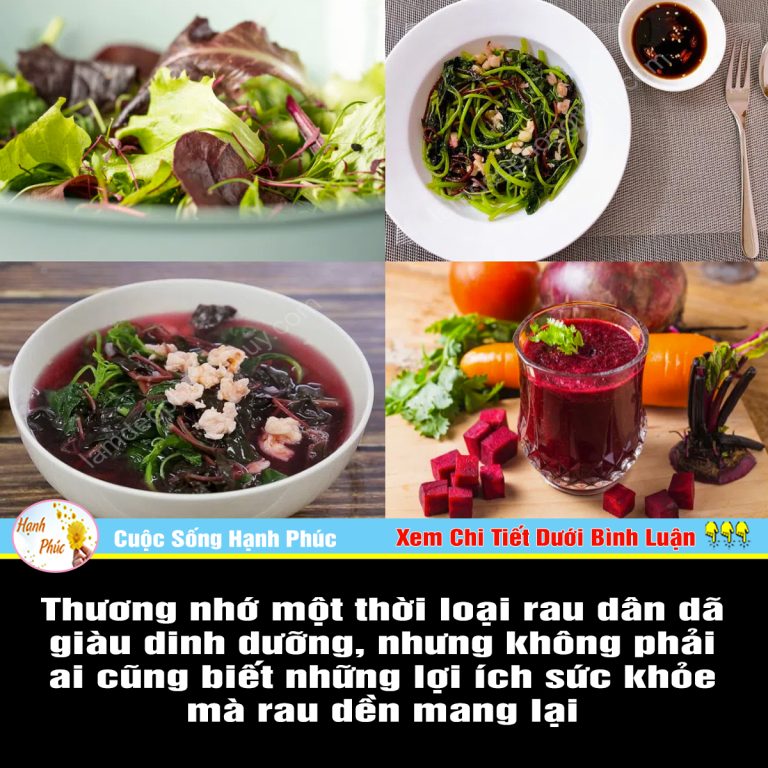 Thương nhớ một thời loại rau dân dã giàu dinh dưỡng, nhưng không phải ai cũng biết những lợi ích sức khỏe mà rau dền mang lại