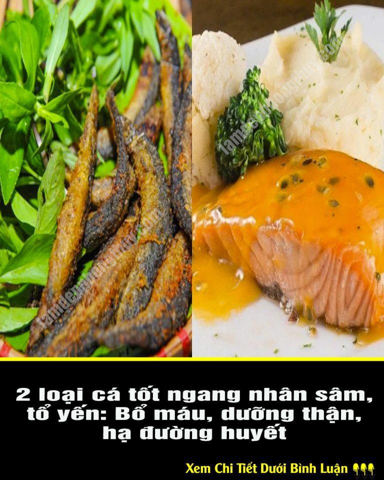 2 loại cá tốt ngang nhân sâm, tổ yến: Bổ máu, dưỡng thận, hạ đường huyết