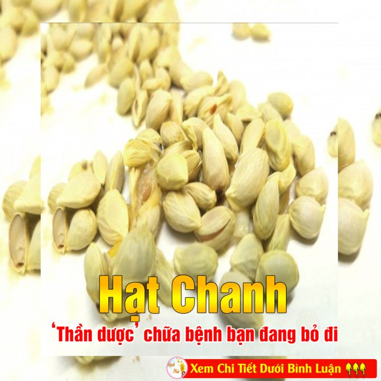 Hạt chanh: ‘Thần dược’ chữa bệnh bạn đang bỏ đi